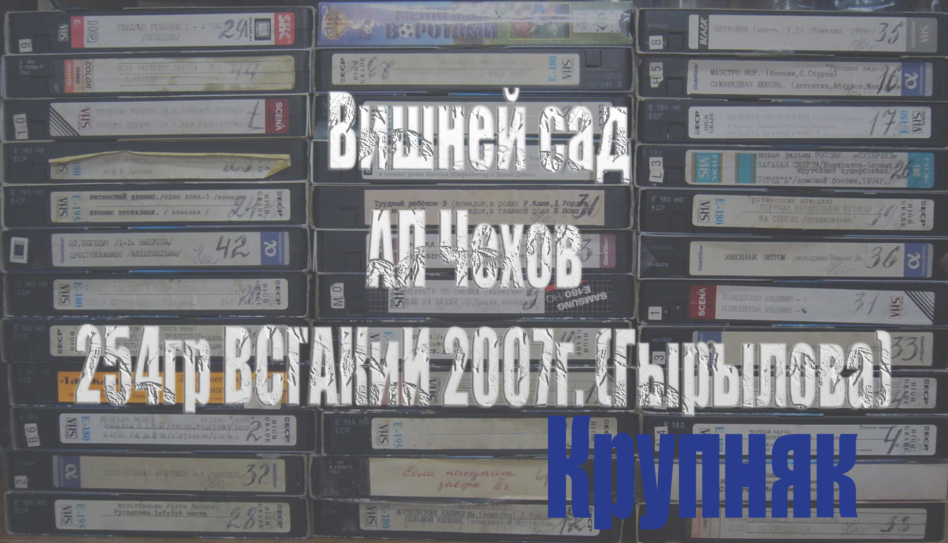 вишнёвый сад гырылова 1_1крупный