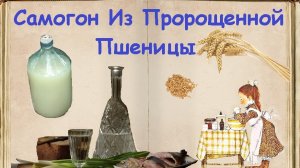 Самогон Из Пророщенной Пшеницы / Книга Рецептов / Bon Appetit