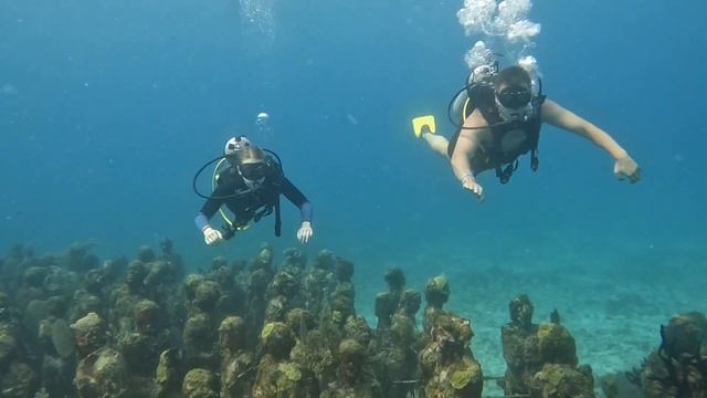 Дайвинг в Мексике? Канкун?️ музей MUSA? риф? смотреть онлайн