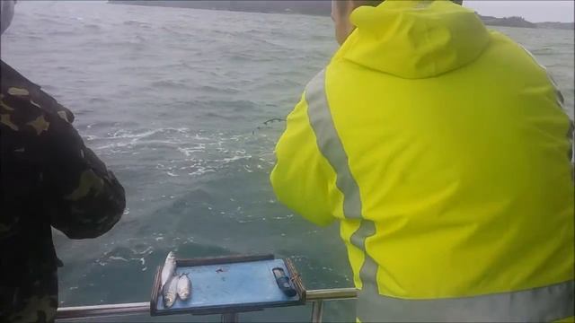 Рыбалка с катера в океане, Окленд, Новая Зеландия/Fishing in NZ смотреть онлайн