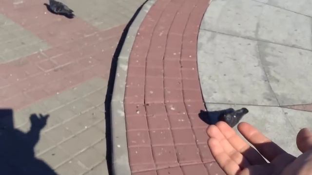 Я дома.Севастополь.Life in France смотреть онлайн