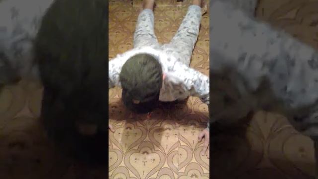 Котик живи,,,,,,,, смотреть онлайн