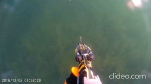 Подводная охота. Увильды