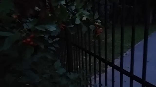 Дорога в светлый путь..Умом Россию не понять... смотреть онлайн