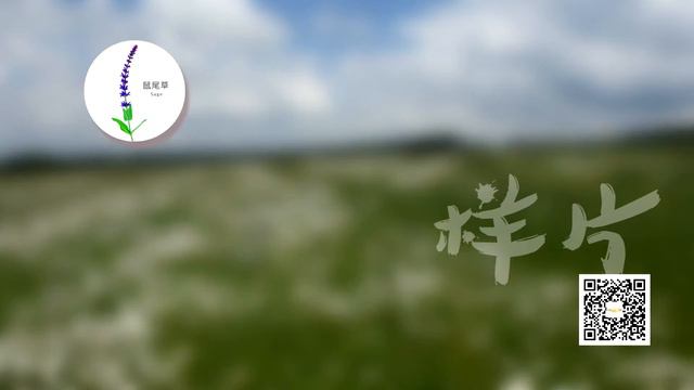 俄罗斯高加索蜂蜜 В Китае о нашем мёде смотреть онлайн