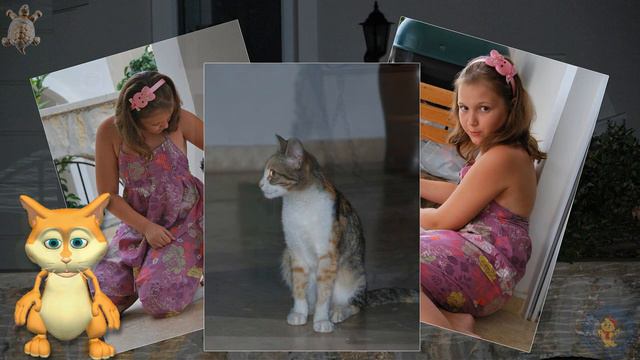 Кошка смотреть онлайн