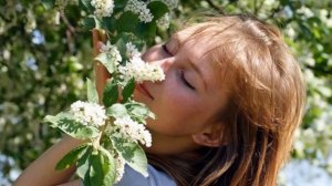 Ах, черемуха белая ... Поет Журавлева Марина.