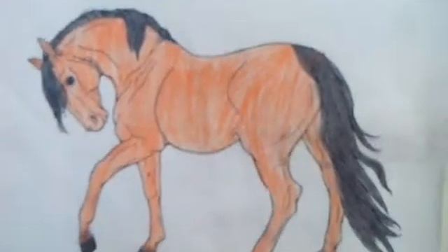 Картины лошадей смотреть онлайн