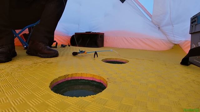 РЫБАЛКА 2024 С НОЧЕВКОЙ В ПАЛАТКЕ смотреть онлайн
