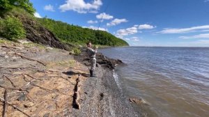 РЫБАЛКА НА САЗАНА. Ловля крупного карпа на реке Амур. Рыбалка на дальнем Востоке.