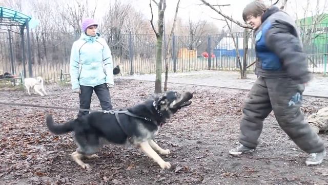 Моншер Вирсаль Эмират работа на привязи СДП Тушино смотреть онлайн