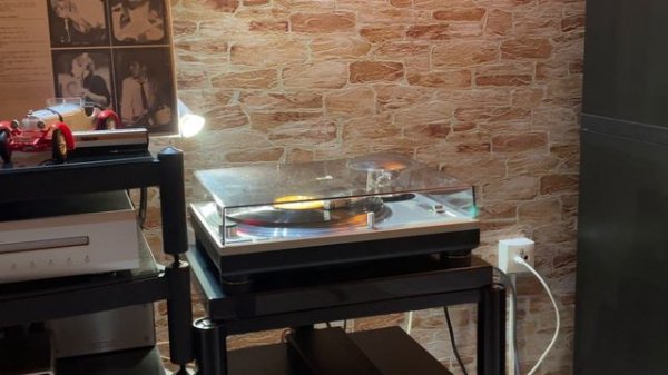 Denon DL-110 Anniversary MC cartridge(DL 103) part 3