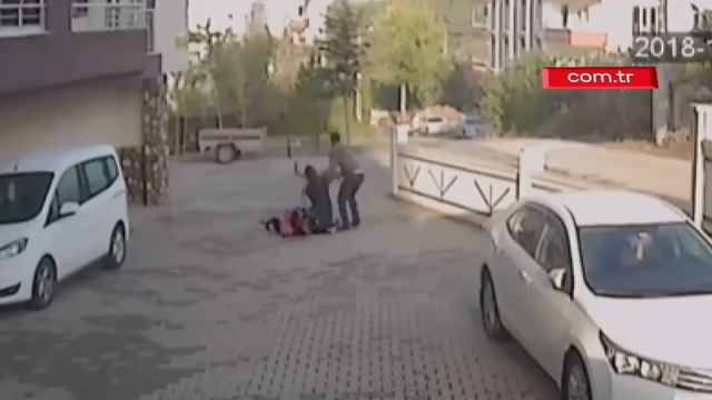 Собаки нападают на ребенка смотреть онлайн