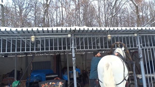 МУЗЕЙ ОРЛОВСКОГО РЫСАКА И РУССКОЙ ТРОЙКИ смотреть онлайн
