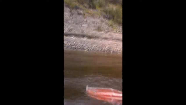 рыбалка в Усть -Цильме р Коми смотреть онлайн
