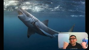 Самые опасные животные Земли (видеолекция для детей 5+).mp4