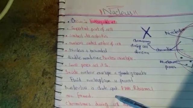 CH#4 BIO LECTURE | What is a nucleus and its diagram and how does it form? |Taiba Tech | смотреть онлайн