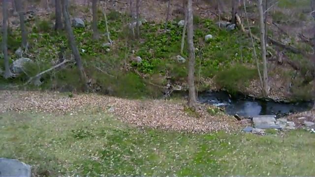 First Outdoor Flight - Holy Stone RC Mini Drone смотреть онлайн