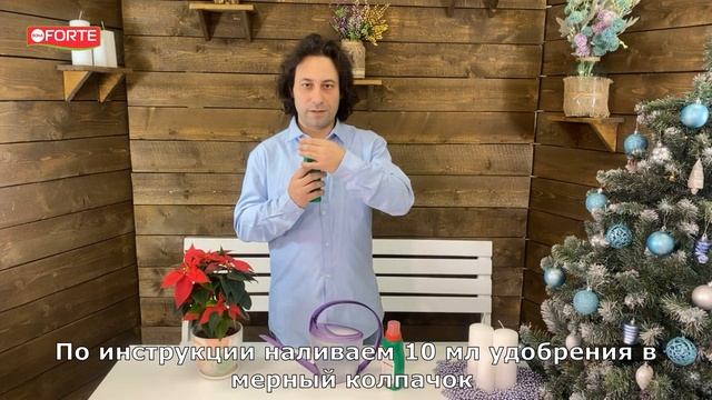 Удобрение для пуансеттии или рождественской звезды и других цветущих зимой растений смотреть онлайн