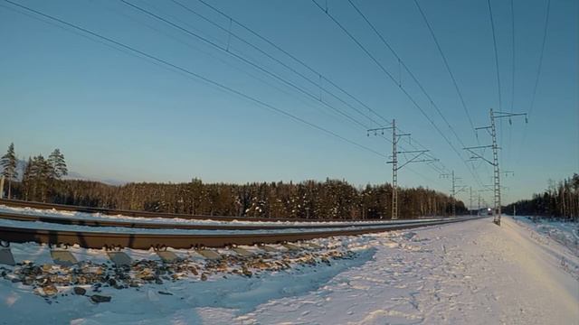 Поезд "Стриж" едет на скорости 200 км/ч! смотреть онлайн