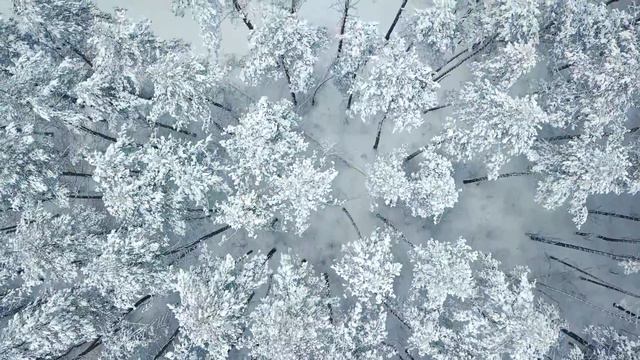Нежная музыка, успокаивает нервную систему и радует душу - лечебная музыка для сердца и сосудов смотреть онлайн