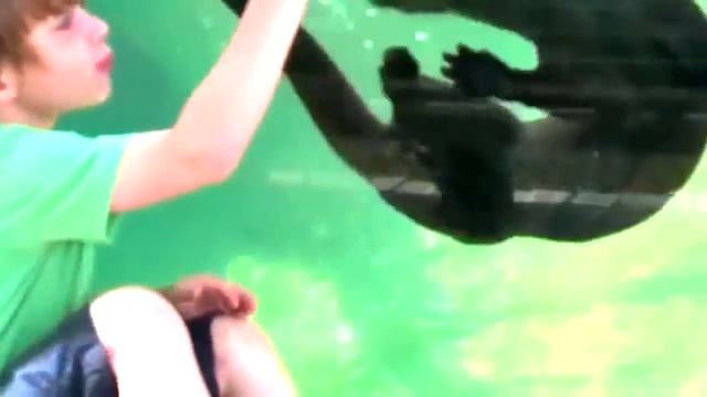 Мир позитива №15