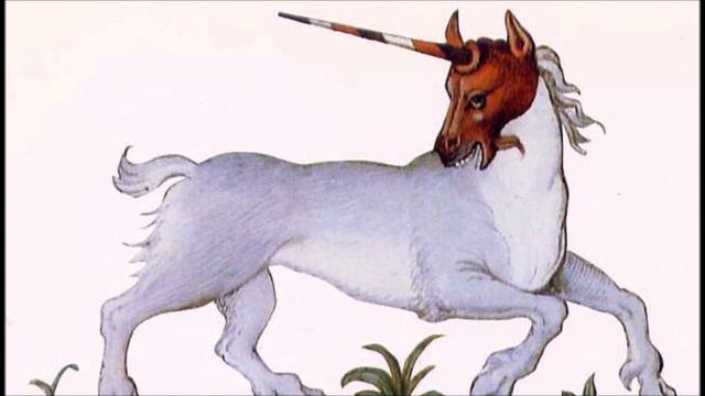 Unicorns | The Paragon Of Purity