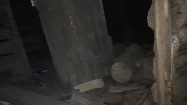 Чепыш в Сарае Ведёт Себя Странно.