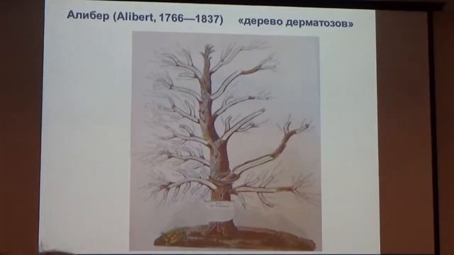 Царство грибов. Клинические этюды. Часть 1 смотреть онлайн