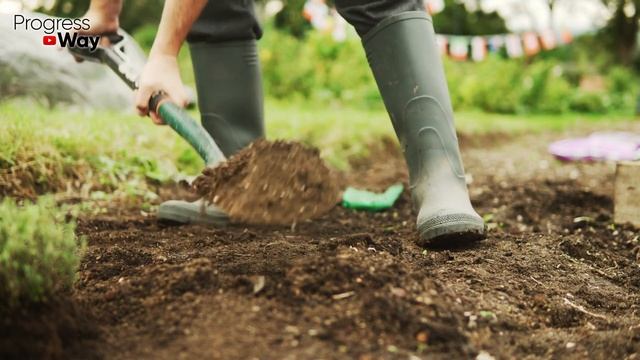 Почву Перекапывать Осенью Или Отложить На Весну? Разбираем Все Плюсы И Минусы Перекопки смотреть онлайн