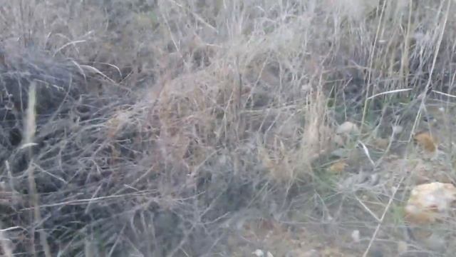 луаз плазма крепко сидит в глине смотреть онлайн