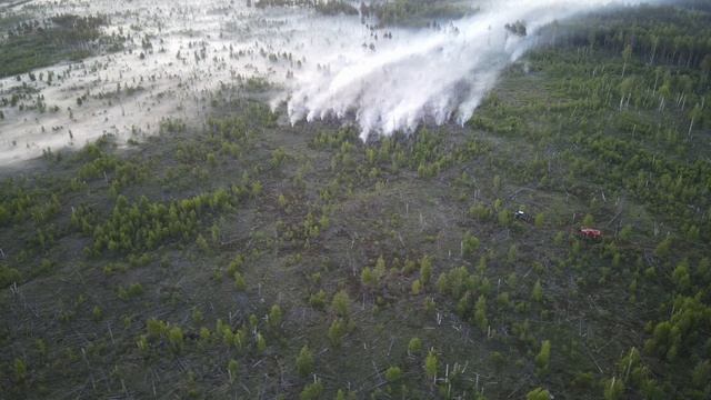 Керженский заповедник: тушение пожара, июнь 2022 смотреть онлайн