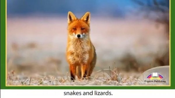 Excel for Kazakhstan. Unforgettable destination 6grade