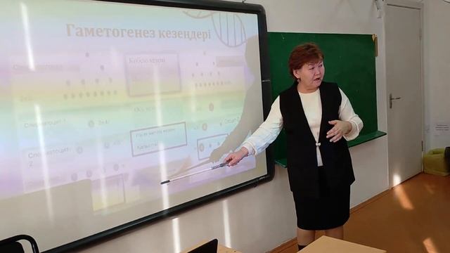 Түймекент орта мектебі / Смағулова Құрманкүл / 10 сынып / Өсімдіктер мен жануарлардағы гаметогенез.