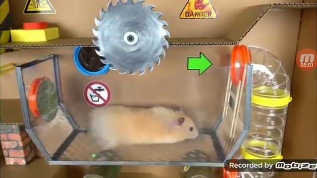 бедный хомяк смотреть онлайн