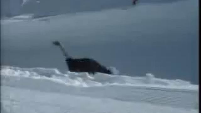 Страус на лыжах(страус жот).flv смотреть онлайн