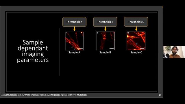 Anthony Bilodeau: Online optimization of imaging parameters of complex super-resolution modalities смотреть онлайн
