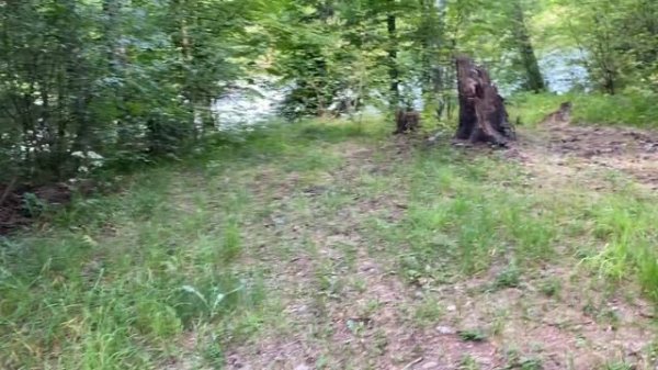 El propósito de la visita de Kuleba a China.