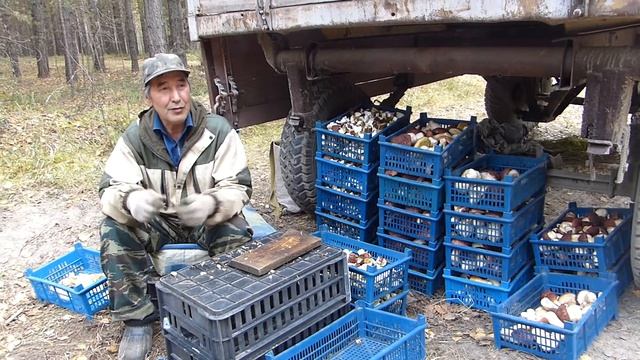 Испытано на себе. Сколько можно заработать на грибах. Часть 2 смотреть онлайн