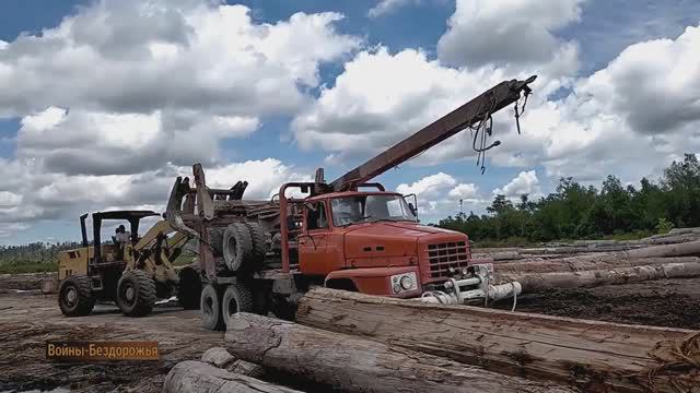 Легендарный Старый грузовик Nissan TZA 520 для лесозаготовок, загружающий крупную древесину. смотреть онлайн