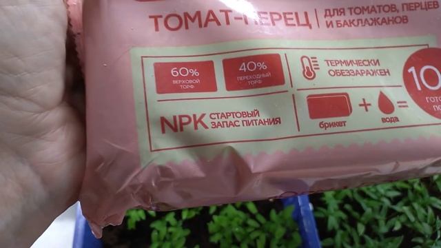 ТОЛСТАЯ РАССАДА. Благодаря этому у меня всегда толстая и крепкая рассада смотреть онлайн