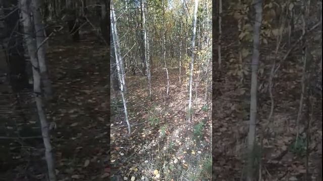 рг Красавка 11. 09. 21 г. смотреть онлайн