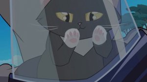 Кошачьи тайны. Тизер.