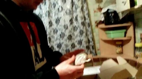 заказ семян в интернет магазине ON PROFI