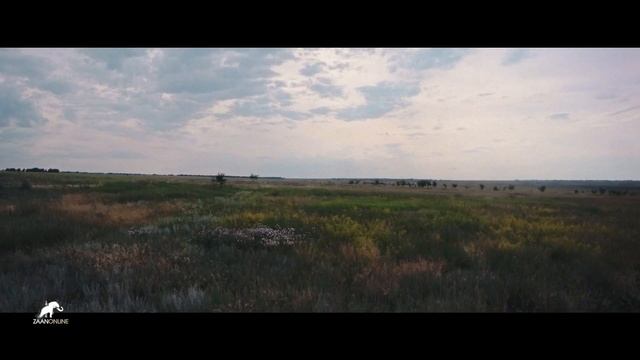 Калмыцкая степь! Великая степь! Мой дом. Родная степь. Бескрайние просторы на канале ZaanOnline