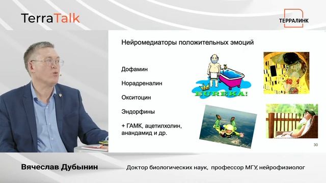 TerraTalk: эфиры про здоровье, науку и саморазвитие смотреть онлайн