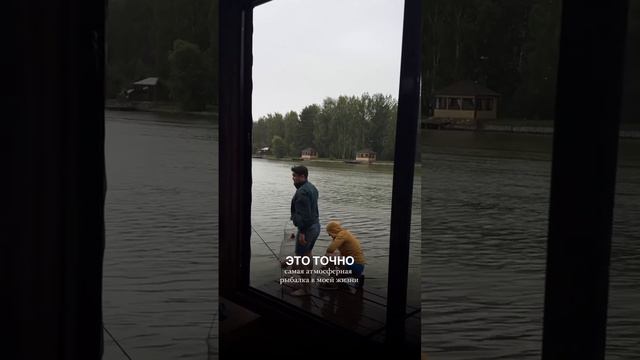 Видео отзывы #7 - всегда как отличное послевкусие ❤️ смотреть онлайн