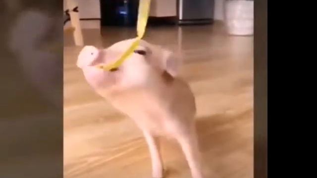 Реакция на лайк! смотреть онлайн