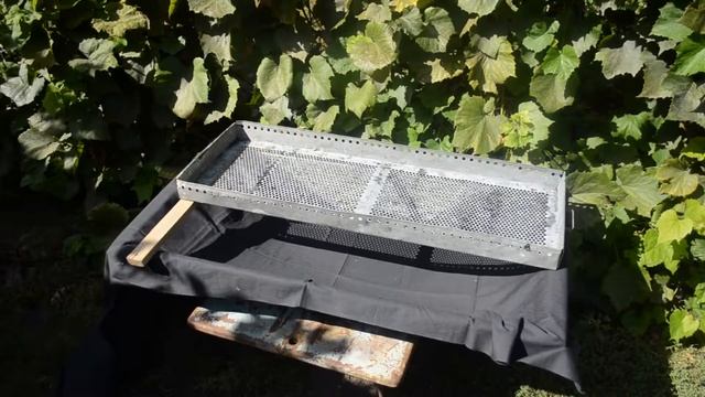 Сбор восковой моли. ПЖВМ. Сбор личинок без пинцета. смотреть онлайн