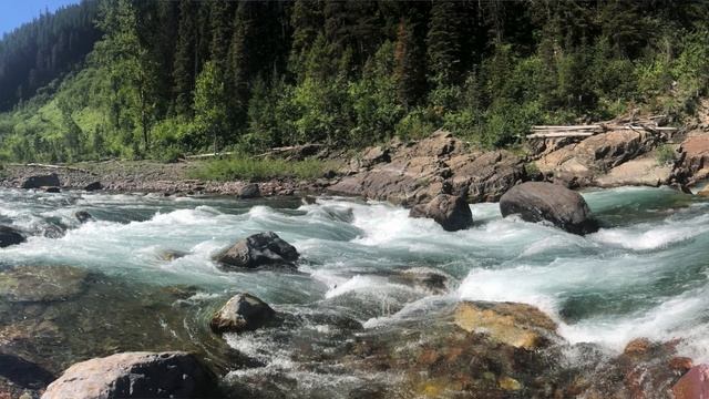Wild River Voices Episode 4: A Middle Fork Flathead Adventure смотреть онлайн